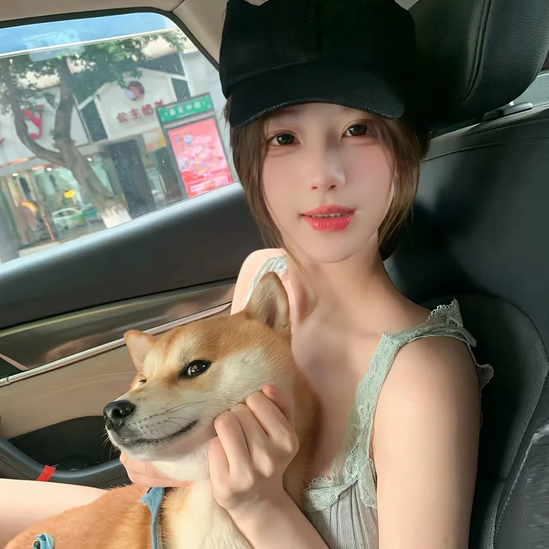 最后的骑士